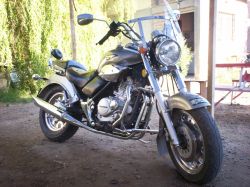 2008 Beta Euro 300