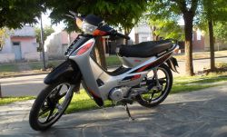 2008 Beta BS 110