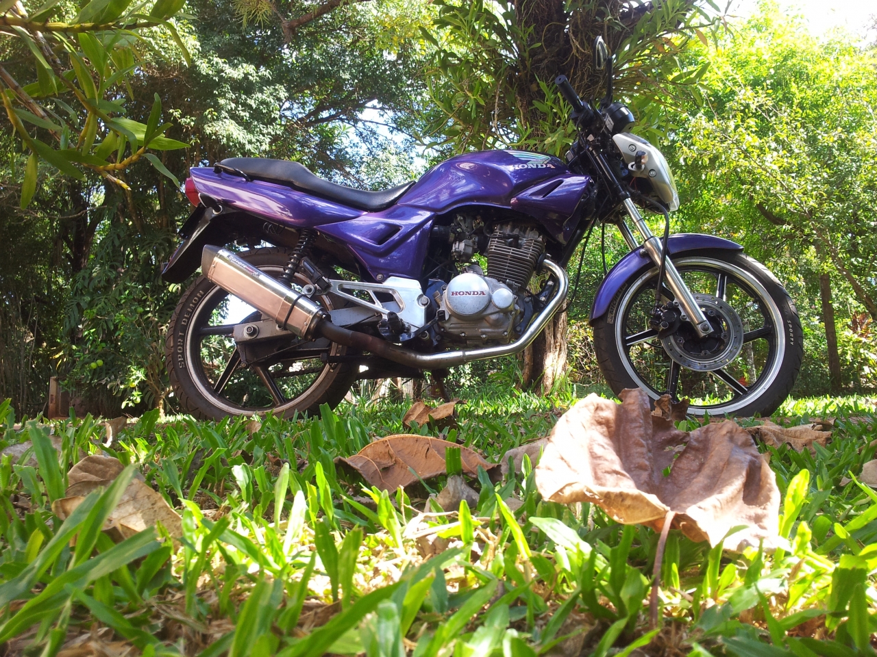 20130131_155125.jpg