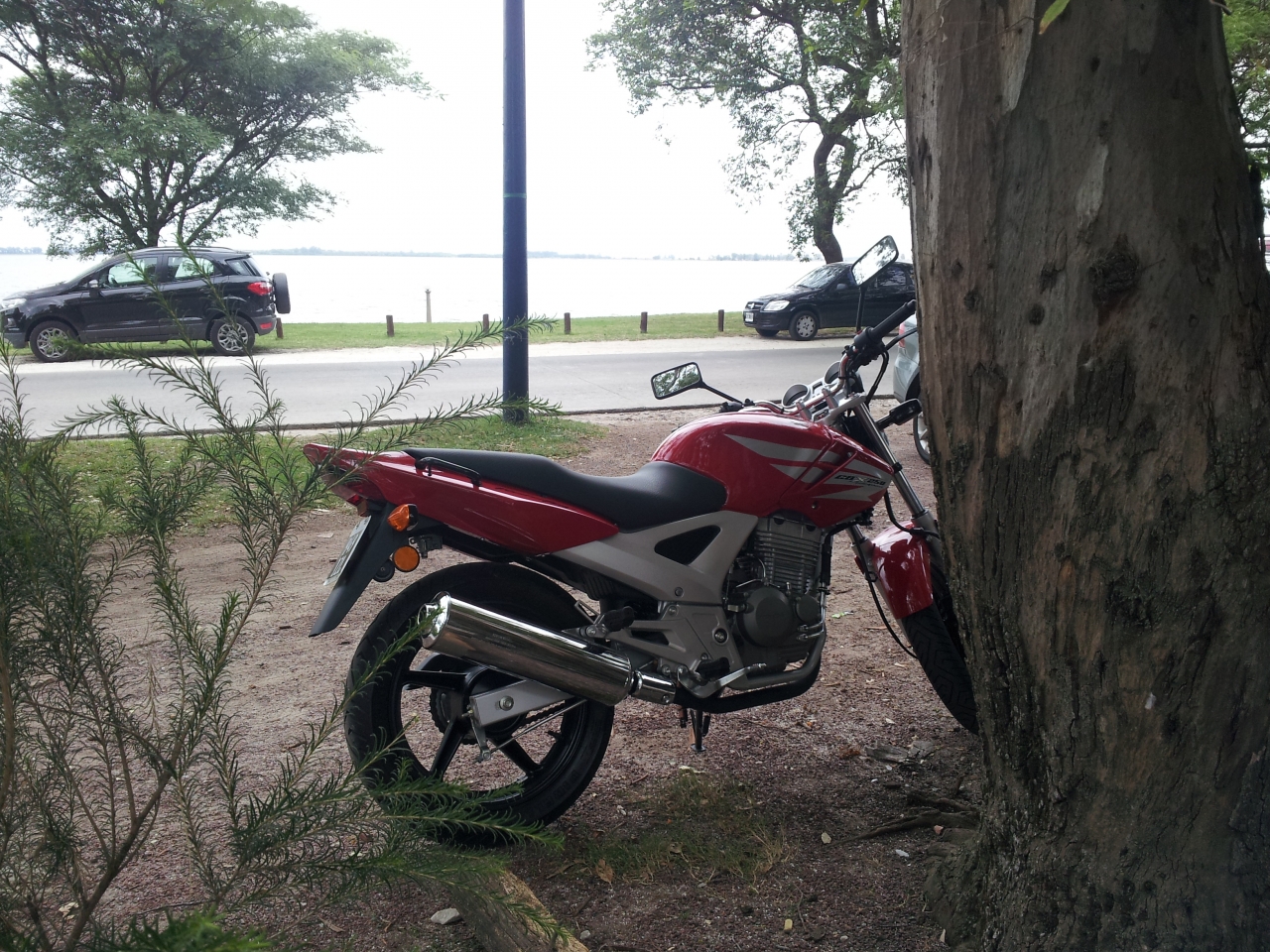 20130217_132155.jpg