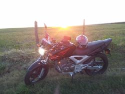 2013 Honda CBX 250 Twister