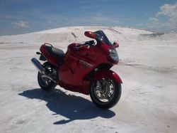2003 Honda CBR XX 1100