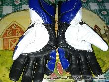 Listado de Guantes (Que guantes usan los Twisteros?)