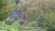 7º Enc.Nac. TW - Calamuchita-Cba 21 al 24 Marzo- IMAGENES