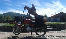 Viaje desde Neuquen a villarica chile !