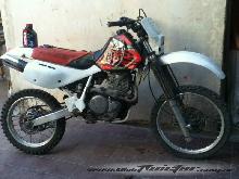 Xr 600