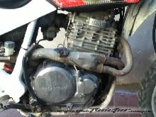 Xr 600