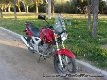 Presentacion