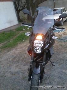 La nueva nave de kapitan... otro traidor del ala dorada