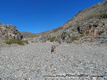 Vuelta a Paramillos