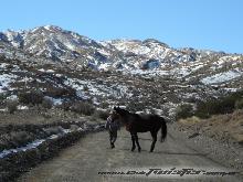 Vuelta a Paramillos