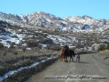 Vuelta a Paramillos