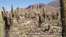 Vacaciones X El Noroeste Salta Y Jujuy