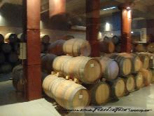 Viaje a mendoza semana 08/febrero al 15/febrero